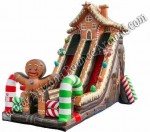 Gingerbread House Inflatable Slide Rental Phoenix Arizona