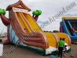 Inflatable tree house slide rental Phoenix Arizona