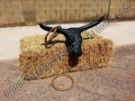 Western Bull Horn Ring Toss Game Rental - Phoenix Arizona
