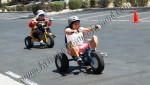 Jumbo Adult Tricycle rental Phoenix az