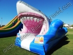 Jaws Slip N Slide rental, shark water slide rentals