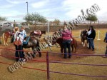 Pony Rides for Hire, Pony Ride rentals, Phoenix, Scottsdale AZ 
